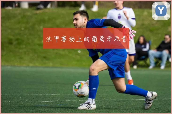 法甲赛场上的葡萄牙元素