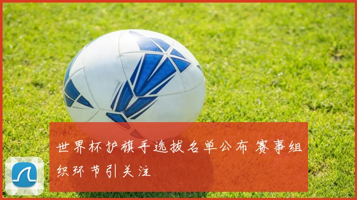 世界杯护旗手选拔名单公布 赛事组织环节引关注
