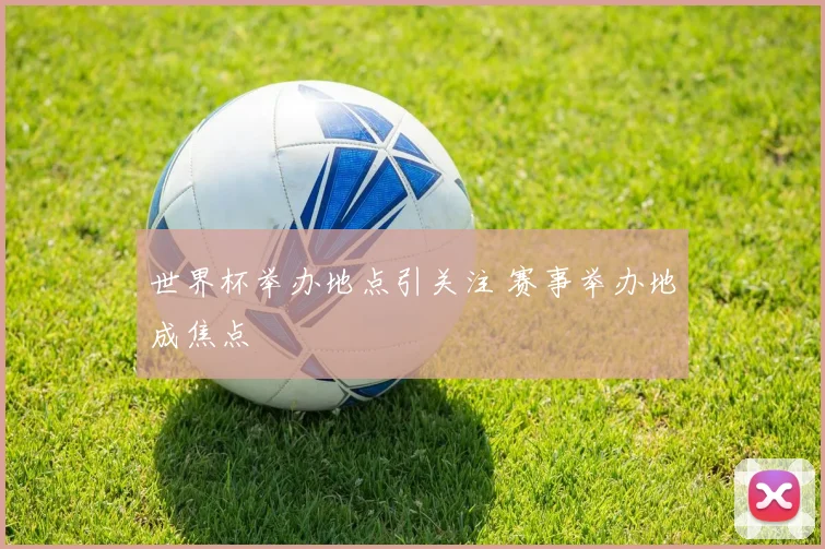 世界杯举办地点引关注 赛事举办地成焦点
